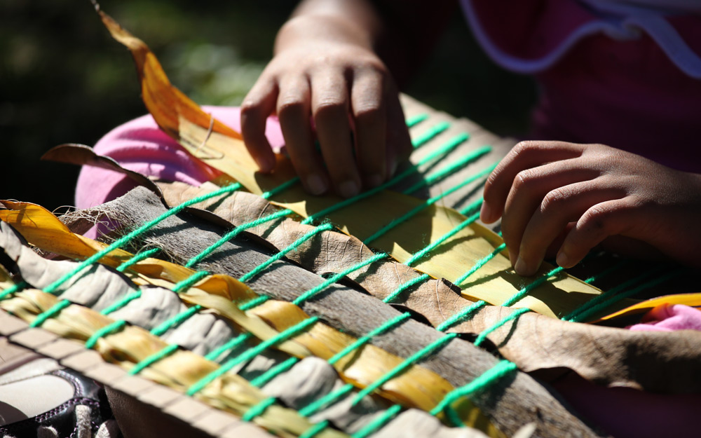 Plant Weaving with 3rd Graders